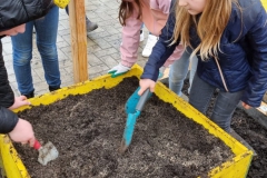 Bepflanzung des Greenhouses