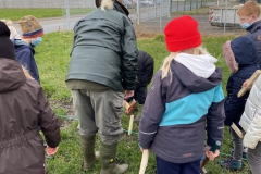 Streubeerenwiese 2022