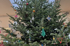 k-Foto-Tanne-11-18-59