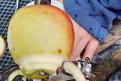 PHOTO-2021-10-06-17-06-01-10