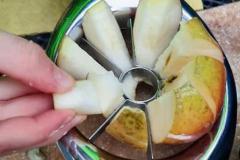 PHOTO-2021-10-06-17-06-01-11