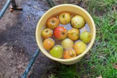 PHOTO-2021-10-06-17-06-01-17