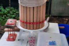 PHOTO-2021-10-06-17-06-01-8