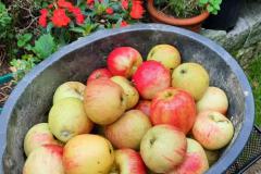 PHOTO-2021-10-06-17-06-01