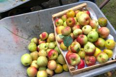 PHOTO-2021-10-06-17-07-09-1