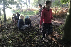 0962274c-4104-4c68-b54d-e857d46e38b8