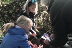 1_6561064c-07c8-496a-96f5-8b61c361447a