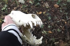 1_b45daddc-3cfe-4340-b63b-46999a77d442