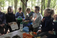 def61074-31b8-4e11-bdd2-2ef92761a36d