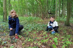 k-IMG_20210921_091631