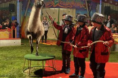 k-6C924056-4AF4-4D68-837E-3A483A04122F